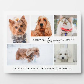 Modernes Cat & Dog Mama Geschenk Beste Pelze Mama Fotoplatte