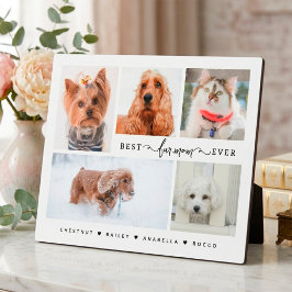 Modernes Cat & Dog Mama Geschenk Beste Pelze Mama  Fotoplatte