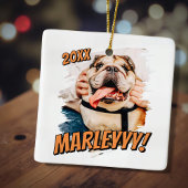 Modernes Comic Einfaches Grunge Custom Pet Foto Keramikornament
