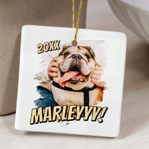 Modernes Comic Einfaches Grunge Custom Pet Foto Keramikornament