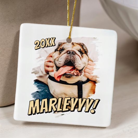 Modernes Comic Einfaches Grunge Custom Pet Foto Keramikornament