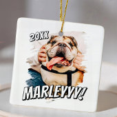 Modernes Comic Einfaches Grunge Custom Pet Foto Keramikornament