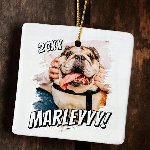 Modernes Comic Einfaches Grunge Custom Pet Foto Keramikornament