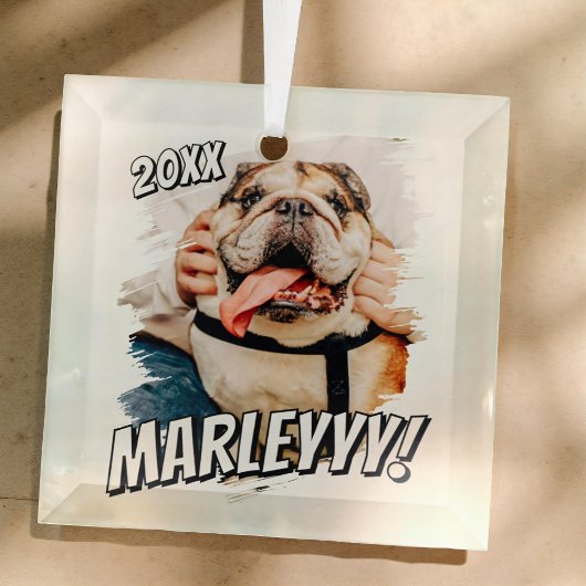 Modernes Comic Einfaches Grunge Custom Pet Foto Ornament Aus Glas