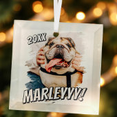 Modernes Comic Einfaches Grunge Custom Pet Foto Ornament Aus Glas