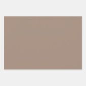 Modernes Dinosaurier Wrapping Paper Set Geschenkpapier Set (Vorderseite 2)