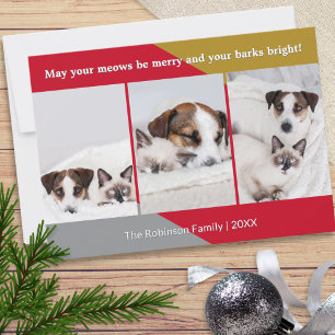 Modernes Dog Cat Foto Haustiere Spaß Weihnachten