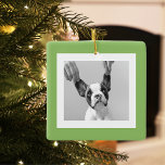 Modernes Dog Foto Green Einfach Liebliches Geschen Keramikornament<br><div class="desc">Modernes Dog Foto Green Einfach Liebliches Geschenk</div>