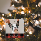 Modernes Dog Foto Red Buffalo Kariert Keramikornament