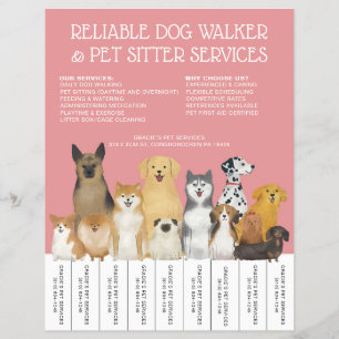 Modernes Dog Walker Pet Sitter Rosa Einfache Strei Flyer