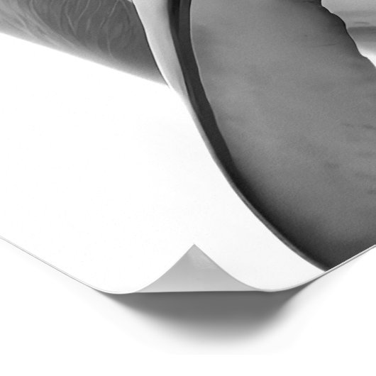 Modernes Dolphin Portrait Schwarz-weiß Poster (Ecke)