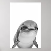 Modernes Dolphin Portrait Schwarz-weiß Poster (Vorne)