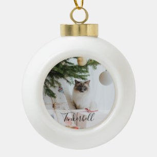 Modernes Einfach Klassisch bei Name und Haustierfo Keramik Kugel-Ornament