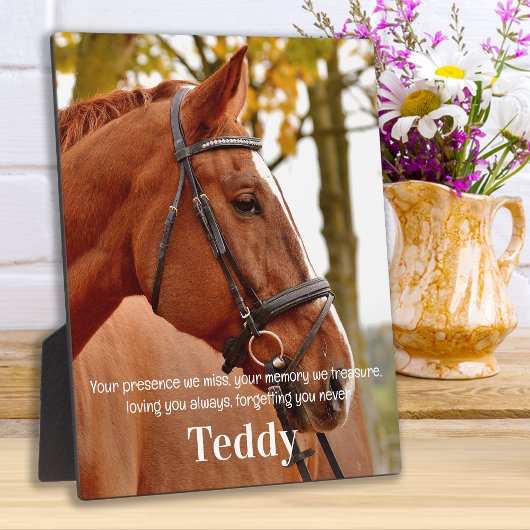 Modernes einfaches Foto Beileid Erinnern Memorial Fotoplatte