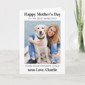 Modernes, einfaches Foto für Haustiere Feiertagskarte (Vorderseite)