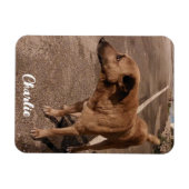 Modernes einfaches Foto Magnet (Horizontal)