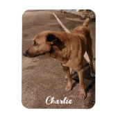 Modernes einfaches Foto Magnet (Vertikal)