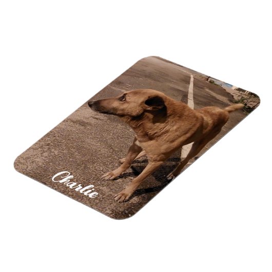 Modernes einfaches Foto Magnet (Linke Seite)