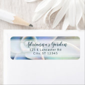 Modernes, einfaches Kinderzimmer für Sukkuline Pfl (Insitu)