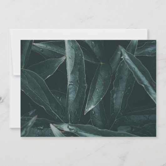 Modernes, elegantes Foto zur Erinnerung an Trauer (Rückseite)