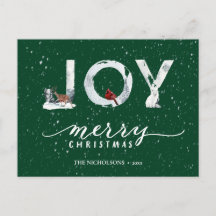 Modernes, elegantes Script JOY White Snow Overlay