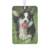 Modernes Foto Dog Pet Memorial Foto Autolufterfrischer (Rückseite)