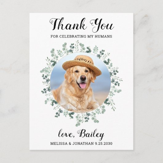 Modernes Foto Eukalyptus Dog Wedding Vielen Dank Postkarte (Vorderseite)