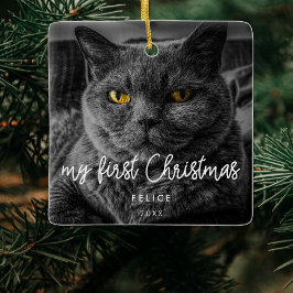 Modernes Foto für Haustiere Erster Weihnachtsurlau Keramikornament
