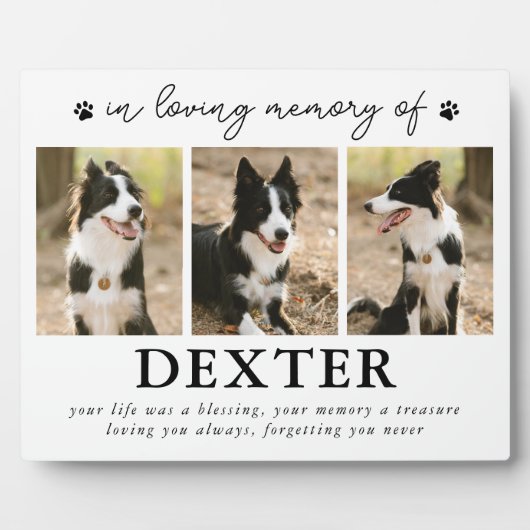 Modernes Foto für Haustiere Fotoplatte (Vorderseite)