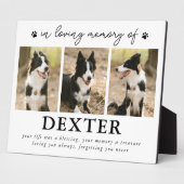 Modernes Foto für Haustiere Fotoplatte (Seite)