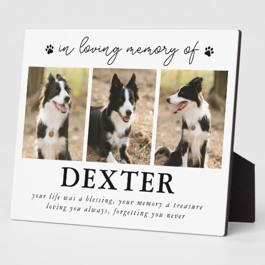 Modernes Foto für Haustiere Fotoplatte (Seite)