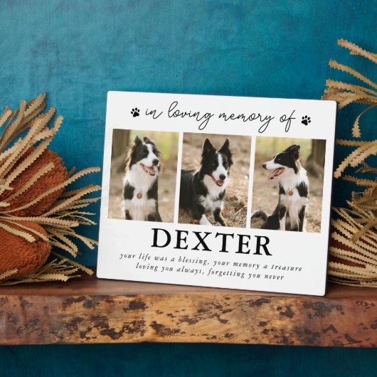 Modernes Foto für Haustiere Fotoplatte (Seite)