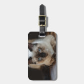 Modernes Foto für Haustiere Gepäckanhänger (Vorderseite vertikal)