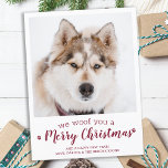 Modernes Foto für Haustiere Hund Lover Frohe Weihn Postkarte<br><div class="desc">Wir würden dir frohe Weihnachten wünschen! Versenden Sie niedliche und lustige Urlaubstage mit dieser niedlichen personalisierten Haustier Foto Urlaubskarte. Frohe Weihnachtswünsche vom Hund mit niedlichen Pfotendrucken in einem lustigen modernen Foto-Design. Fügen Sie dem Hund das Foto oder das Foto Ihrer Familie hinzu und personalisieren Sie mit Familienname, Nachricht und Jahr....</div>