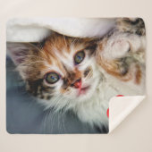 Modernes Foto für Haustiere Personalisiert Hunde K Sherpadecke (Vorderseite (Horizontal))