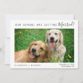 Modernes Foto für Haustiere Save the Date (Vorderseite)