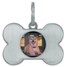 Modernes Foto für Personalisierte Hundebezeichnung