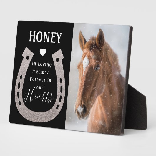 Modernes Foto für Pferde Fotoplatte (Seite)