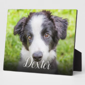 Modernes Foto-Memoryskript Fotoplatte (Seite)