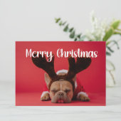 Modernes Foto mit Backside Grußkarten Feiertagskarte (Stehend Vorderseite)