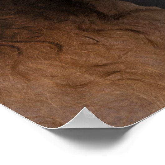 Modernes Foto Overlay Glückwunsch Grad 2025 Abschl Poster (Ecke)