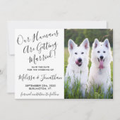 Modernes Foto Personalisiert Hunde Foto Haustier H Save The Date (Vorderseite)