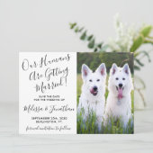 Modernes Foto Personalisiert Hunde Foto Haustier H Save The Date (Stehend Vorderseite)