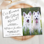 Modernes Foto Personalisiert Hunde Foto Haustier H Save The Date<br><div class="desc">Lass deine besten Hunde oder Hunde und Katze verkünden deine Hochzeit mit diesem super niedlichen "Unsere Menschen werden heiraten" Haustier Hund speichern die Dattelkarten. Passen Sie Ihre Wünsche mit Ihrem bevorzugten Foto an und personalisieren Sie Ihre Wünsche mit Namen, Datum und Ort der Hochzeit. COPYRIGHT © 2020 Judy Burrows, Black...</div>