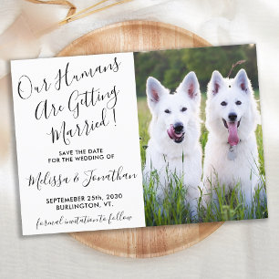 Modernes Foto Personalisiert Hunde Foto Haustier H Save The Date