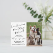 Modernes Foto Persönliche Hochzeit von Haustieren  Ankündigungspostkarte (Stehend Vorderseite)