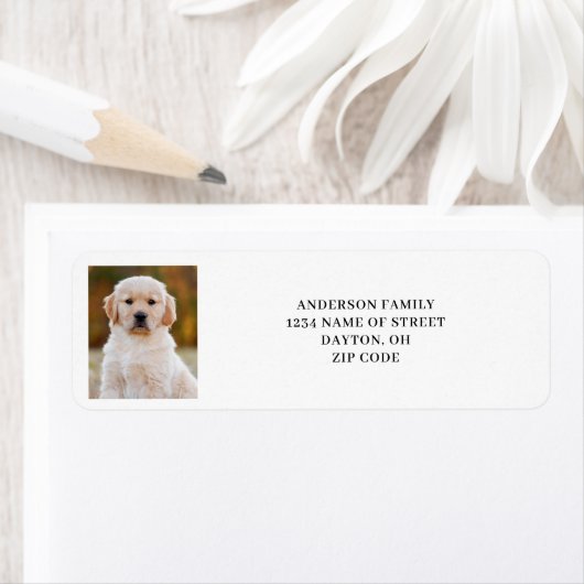 Modernes Foto Rücksendeadresse (Insitu)