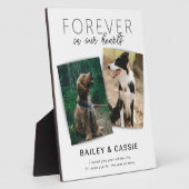 Modernes Gedächtnisgedächtnis Fotoplatte (Seite)