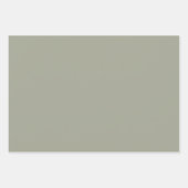 Modernes Gehäuse Green Solid Schlicht Geschenkpapier Set (Vorderseite)