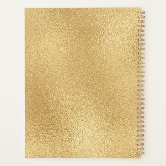 Modernes Gold Brush Gerahmt Planer (Rückseite)